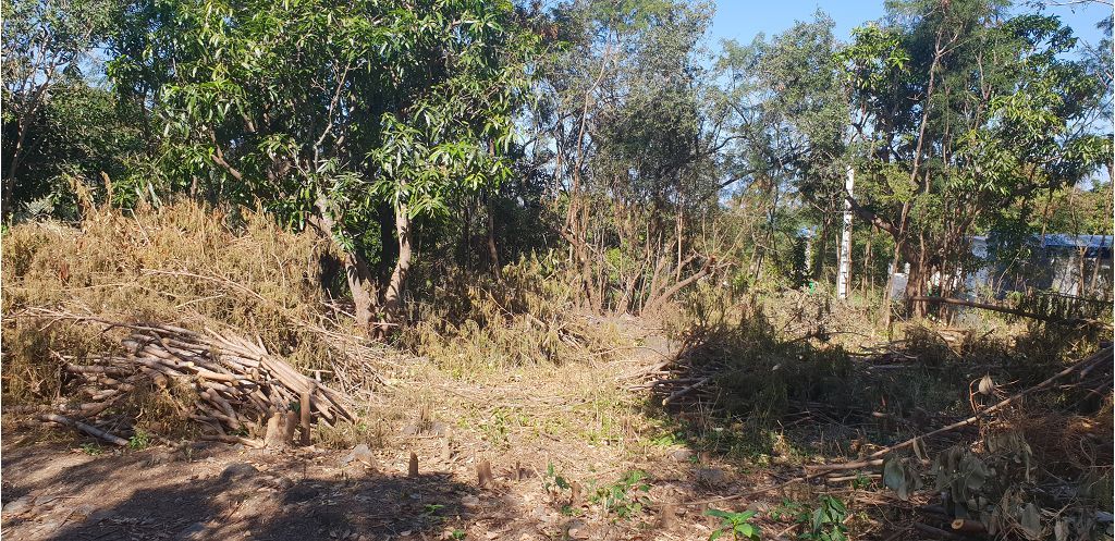 Terrain LA RIVIERE SAINT LOUIS 190000€ Cabinet Immobilier Saint Michel Terrain LA RIVIERE SAINT LOUIS 190000€ Cabinet Immobilier Saint Michel